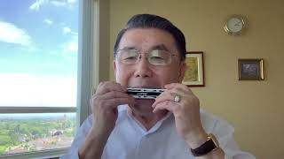 《我们的生活充满阳光》Tremolo Harmonica Solo口琴独奏