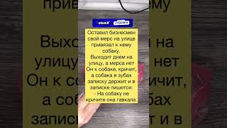 она гавкала  #рек #юмор #шутки #приколы #tiktok #анекдоты #shorts #а4 #рекомендации #тикток