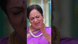 Malli Serial Shorts | Episode 259 Promo | Nikitha | Vijay | #shorts  #ytshorts #youtubeshorts