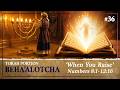 The Menorah, the Messiah and the Mercy of God – Torah Portion Beha'alotcha