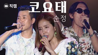 [직캠] ★코요태(Koyote)_순정★무대 Stage Fancam (2022 울산서머페스티벌 Ulsan Summer Festival DAY3)