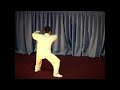 chen tai chi laojia yilu koh kim kok 陈式太极拳老架一路 许晋阁