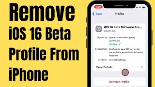 How to Remove iOS 16 Beta| iPadOS 16 Beta Profile - Quick Guide
