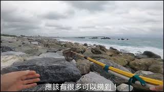 花蓮南濱海邊跳石頭，發現好多彈塗魚，用超長撈網可以撈得到嗎？