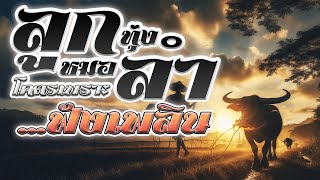 รวมเพลงลูกทุ่งหมอลำ โคตรเพราะ...ฟังเพลิน