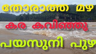 തോരാത്ത മഴയിൽ നിറഞ്ഞൊഴുകി പയസുനി പുഴ 😍 മനോഹര കാഴ്ച..