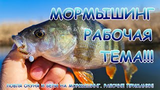 МИКРОДЖИГ или МОРМЫШИНГ. Окунь и тарань на мормышку.