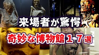 【総集編】入場者が驚く 世界の奇妙な博物館17選 PART1【ゆっくり解説】