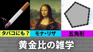 【美しさのすべて】黄金比の秘密に迫る！【ゆっくり解説】