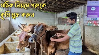 @গরু মোটাতাজা করার আগে কৃমি মুক্ত করা অতি জরুরি,,, 🐄