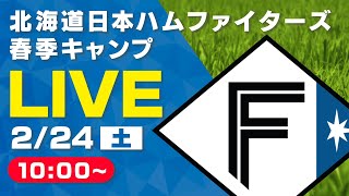 【特別LIVE】2/24 朝10:00～ ファイターズキャンプLIVE 2024 in OKINAWA～北海道日本ハムファイターズ～