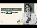 Why x += 5 Works | Python Arithmetic & Compound Assignment Operators for Beginners