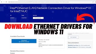 How to Download Ethernet Drivers for Windows 11/10 [Tutorial]