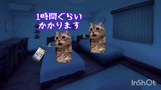 【認知症の母の最期11】遂に最期の時が来ました【猫ミーム】#猫ミーム#認知症#最期#家族葬