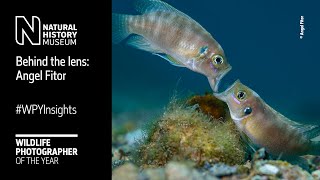 Behind the lens: Face off by Angel Fitor | Wildlife Photographer of the Year #WPYInsights