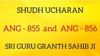 SHUDH UCHARAN ANG 855-856 II GURU GRANTH SAHIB JI II SARBAT DA BHALA II