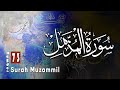 Surah Al Muzammil by Mishary Al Afasy iRecite