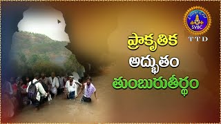 Unknown Facts About Tumburu Theertham || ప్రాకృతిక అద్భుతం తుంబురుతీర్థం || SVBC TTD