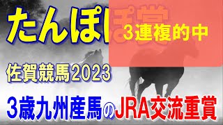 たんぽぽ賞【佐賀競馬2023予想】佐賀コース実績を重視しつつも・・・