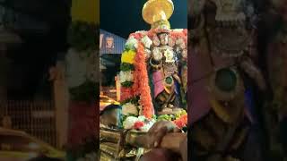 Thiruneermalai Sri Neervanna Perumal Bhramotsavam Gudirai Oiyaali Seeeva....