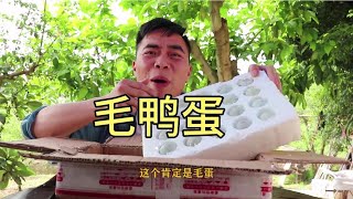 歪厨子做毛鸭蛋，网友吃着打脑壳边喝墨醋边吃菜【歪厨子余小二】