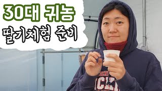 30대 귀농 청년 딸기체험 근황-쨍이 ep35