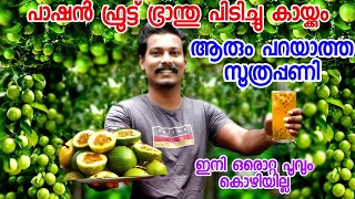 പാഷൻ ഫ്രൂട്ട് വള്ളി കുല കുത്തി കായ്ക്കാൻ|ആരും പറഞ്ഞു തരാത്ത സൂത്രപ്പണി|passion fruit plant malayalam