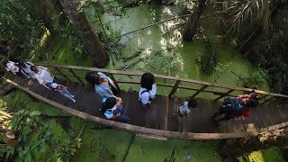 Lekki Conservation Centre Forest walk