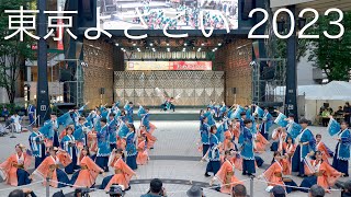 早稲田大学よさこいチーム東京花火 西口公園会場 東京よさこい2023