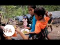 Hundreds of Conflict Refugees Mass on the Thai-Myanmar Border