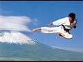 Shotokan Karate Kicks