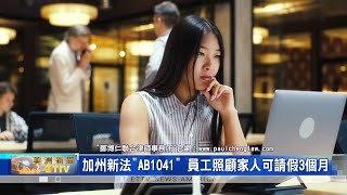 律師鄭博仁詳解：2023年\