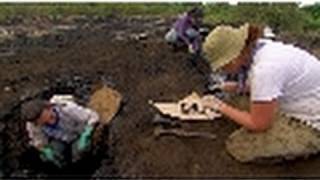 The Tar Pit National Geographic