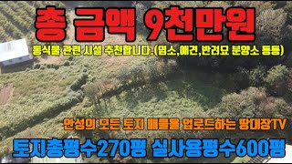 안성토지매매 총금액 9천만원 초급매 초저가 동식물관련시설 추천합니다.