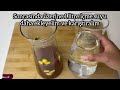 cleanse your intestines and liver get rid of all toxins in your body