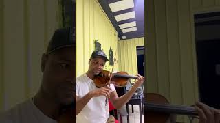 La vie en rose / lead violin / academia violin creativo