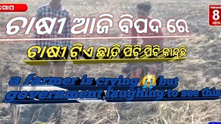 ଚାଷୀ ଟିଏ ଛାତି ପିଟି କାନ୍ଦୁଛି || a farmer is crying 😭 to hites his chest || crying farmer|| #odiavlog