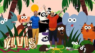 Ylvis - Everybody Farts | Animals Kids Song | discovery+ Norge