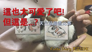 【Fatbe Diary】Painting Guinea pig這也太可愛了吧！但這是⋯?天竺鼠繪畫比賽(天竺鼠PK系列 - 繪畫比賽)