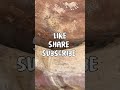 bhimbetka rock shelters part1 history india unescoworldheritage viralvideo cave painting 2025