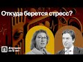 Откуда берется стресс? — коллекция на ПостНауке