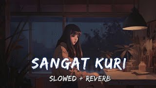 Sangat Kuri || New Santali Lofi Song 2024 ||    Slowed + reverb || Lofi Santali Music