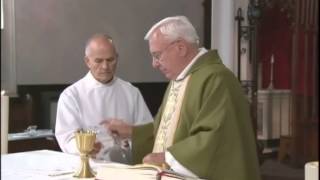 Daily Mass, Tuesday 8 July 2014