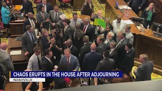 Chaos erupts in the House after TN special session adjourns