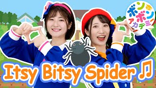 ♬Itsy Bitsy Spider (Incy Wincy Spider)【英語の歌】The itsy bitsy spider climbed up the waterspout〜♬