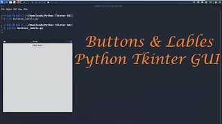 Creating Buttons & Labels | Python Tkinter Tutorial 02 - Leisure Codes
