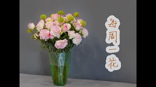 【大叔说花】每周一花213/洛神玫瑰洋桔梗绿乒乓菊/家庭生活居家花瓶插花