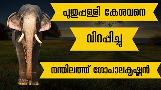 കോട്ടോലിന്റെ മണ്ണിൽ കേശവനൊപ്പം കട്ടക്ക് തലപിടിച്ചു നന്ദിലത്ത് ഗോപാലകൃഷ്ണൻ കൂടെ അക്കരമേൽ മോഹനനും 🔥🔥