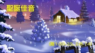 聖誕佳音│高敏智牧師│20161225主日第三堂