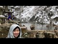 japanese snow monkeys soak in hot springs at jigokudani yaen koen monkey park 長野地獄谷野猿公苑雪猴泡溫泉